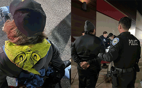 Walnut Creek Police Arrest 16 For Retail Theft