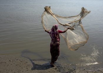 Woman catching fish, Bangladesh