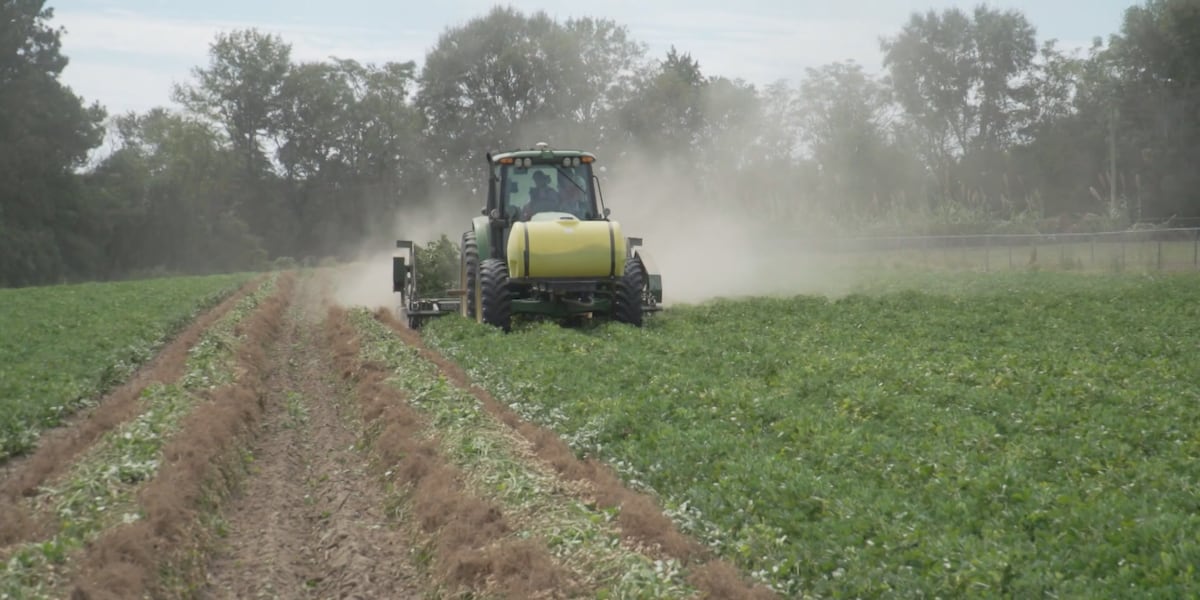 Federal relief programs offer Alabama farmers financial support after challenging year